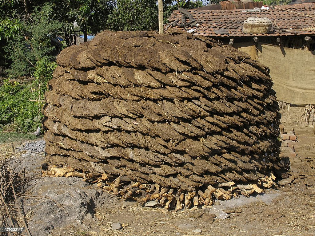 cow-dung